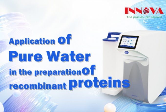 Application of pure water in the preparation of recombinant proteins