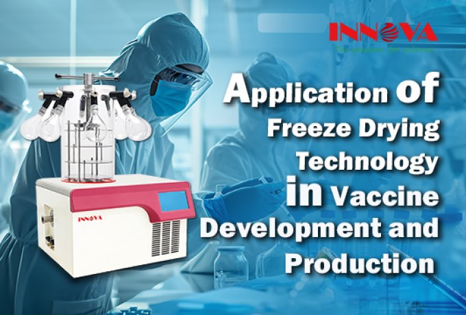 Application of Freeze Drying Technology in Vaccine Development and Production