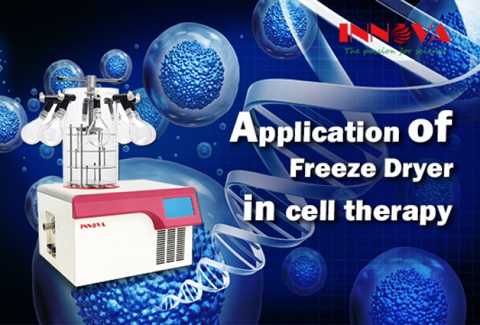 Application of Freeze Dryer in Cell Therapy